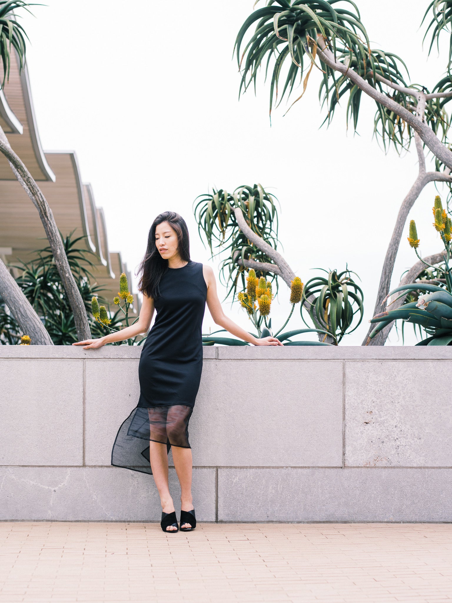 Lucid Dress in Black